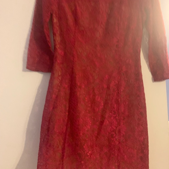 Ladylike Bold Pink Silk dress with nude underlining for a class y yet sexy look. - Picture 2 of 3